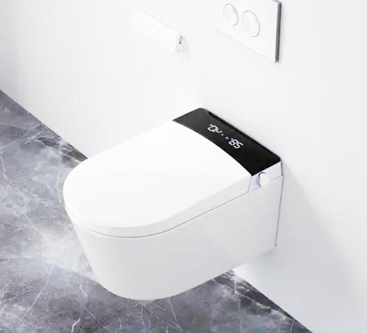 Smart toilet SS003