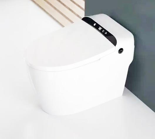 Smart toilet SS006