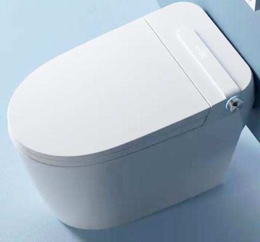 Smart toilet SS007