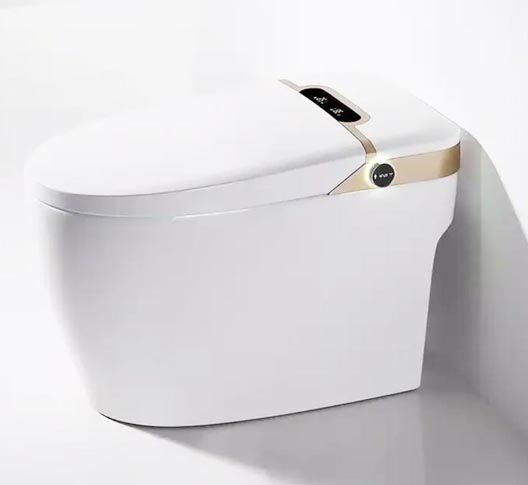Smart toilet SS009
