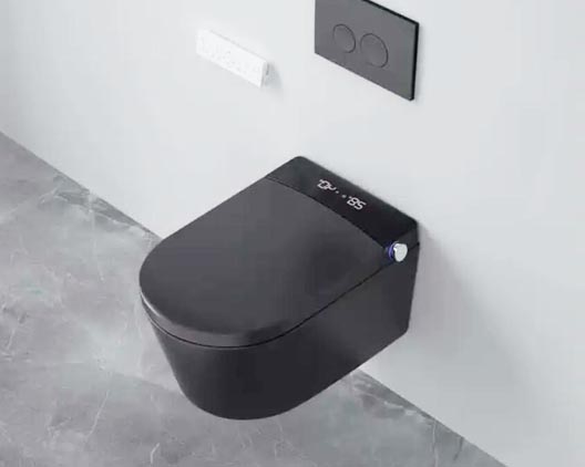 Smart toilet SS014