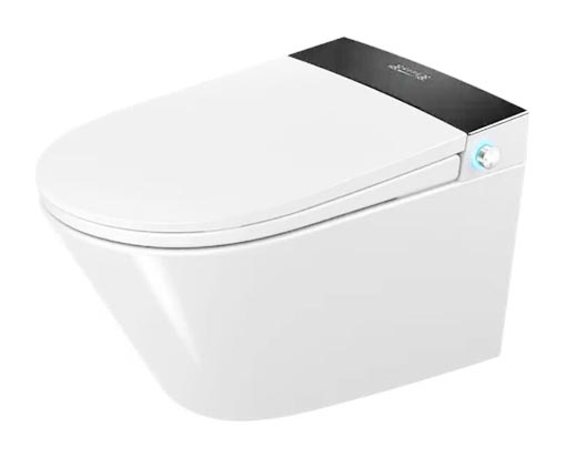 Smart toilet SS015